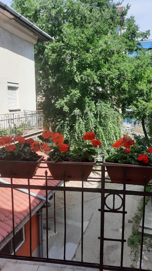 City Life Apartment Debrecen Eksteriør billede